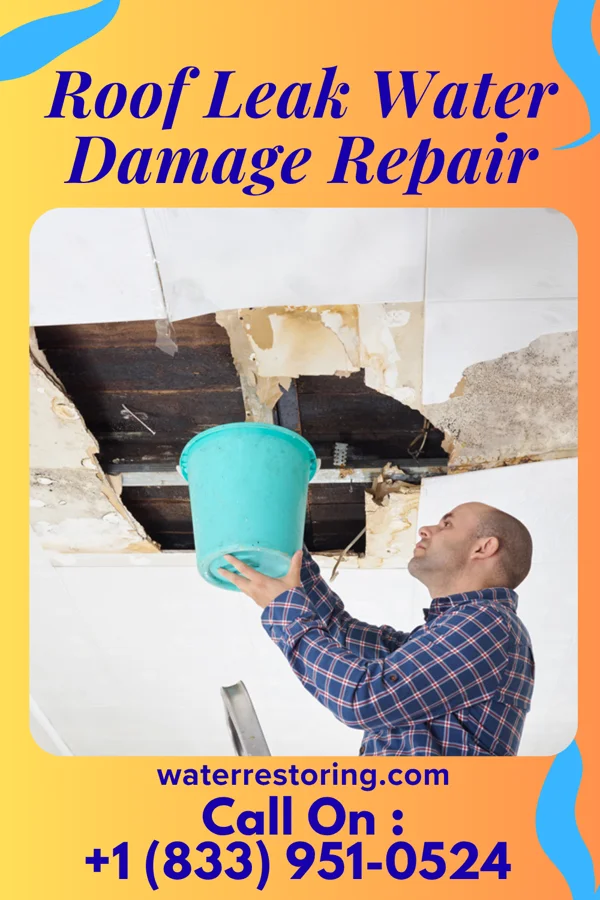 Roof Leak Water Damage Repair in Aspermont, TX