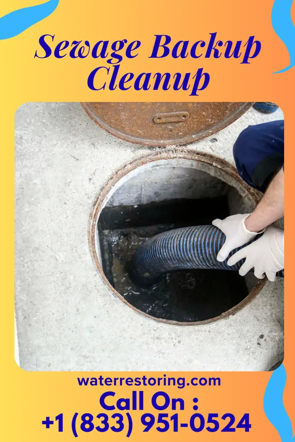 Sewage Backup Cleanup in Aspermont, TX